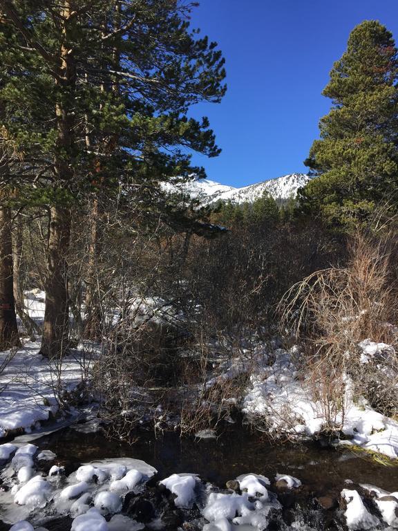 马姆莫斯湖雪绒花旅馆别墅 外观 照片